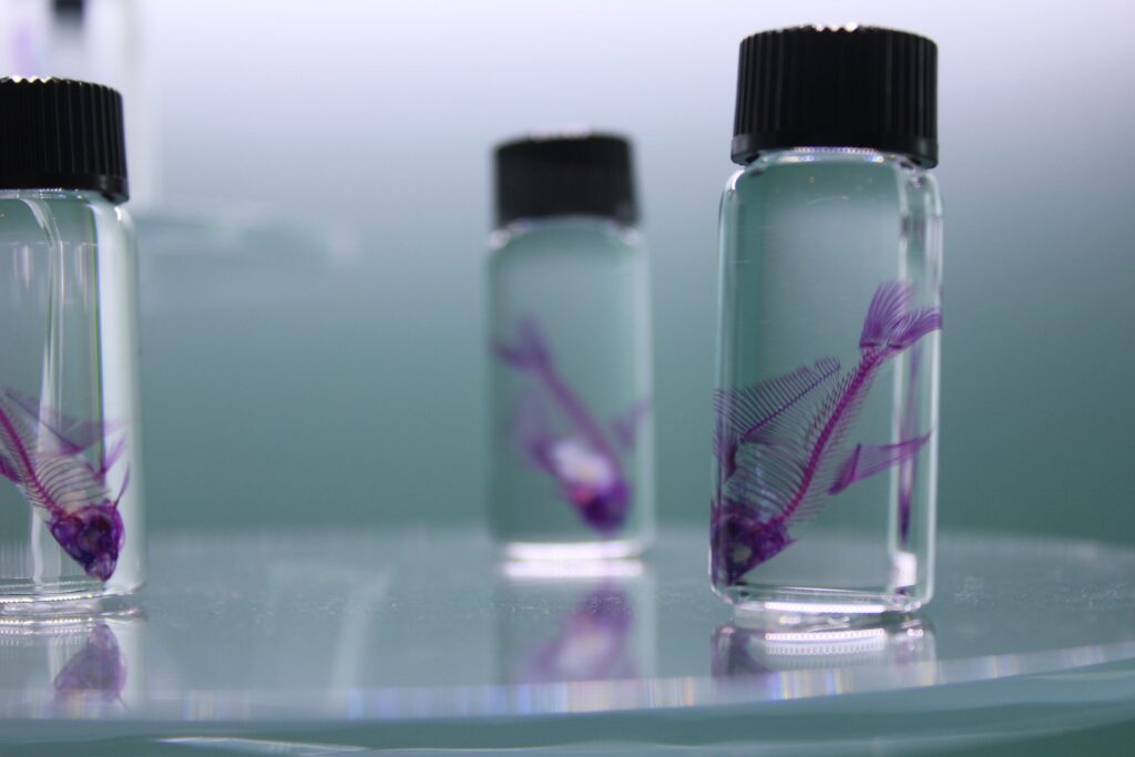 医学部受験の生物を突破する方法