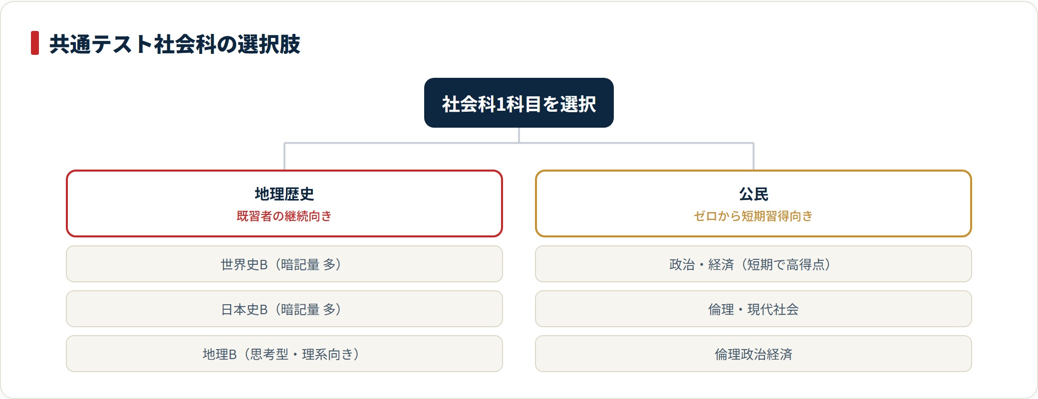 共通テストの社会科の選択肢を地理歴史（世界史B・日本史B・地理B）と公民（政治経済ほか）に分類したツリー図。
