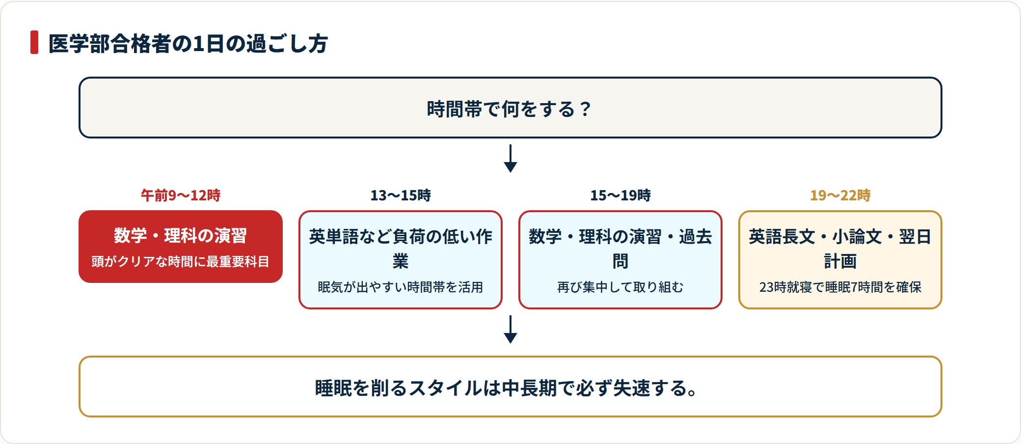 医学部合格者の午前から夜までの1日の勉強スケジュールを示した図。