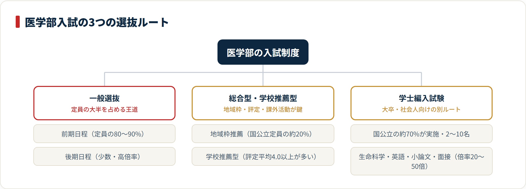 医学部入試の3つの選抜ルート（一般選抜・総合型/学校推薦型・学士編入）を分類したツリー図。