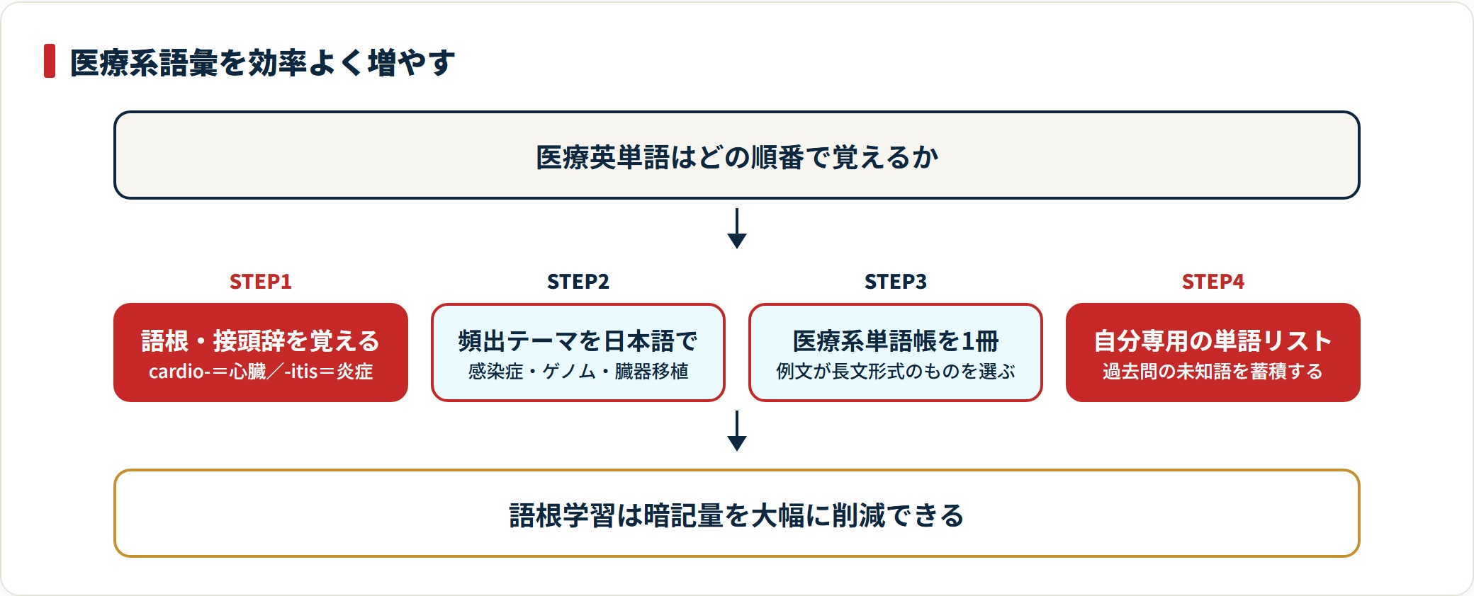 医学部英語の医療系語彙を、語根の理解・頻出テーマの背景知識・単語帳・自作リストの4段階で増やす手順を示した図。